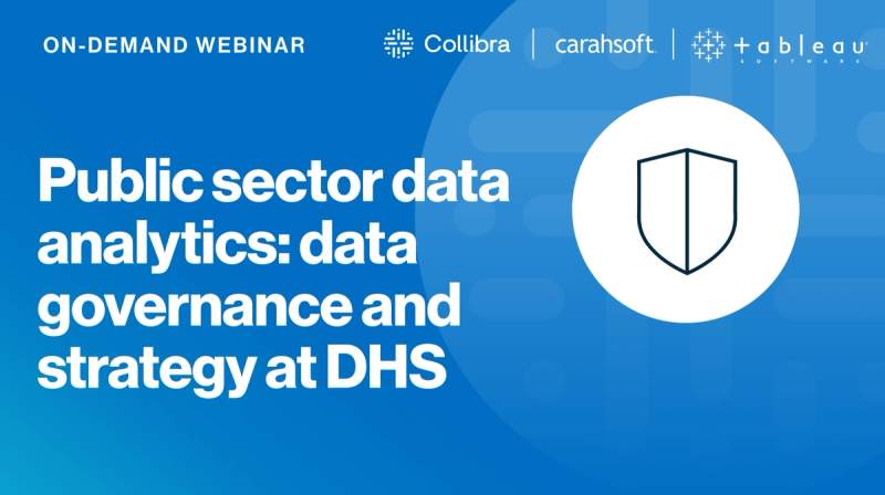 Public sector data analytics: data governance and strategy at DHS cover image
