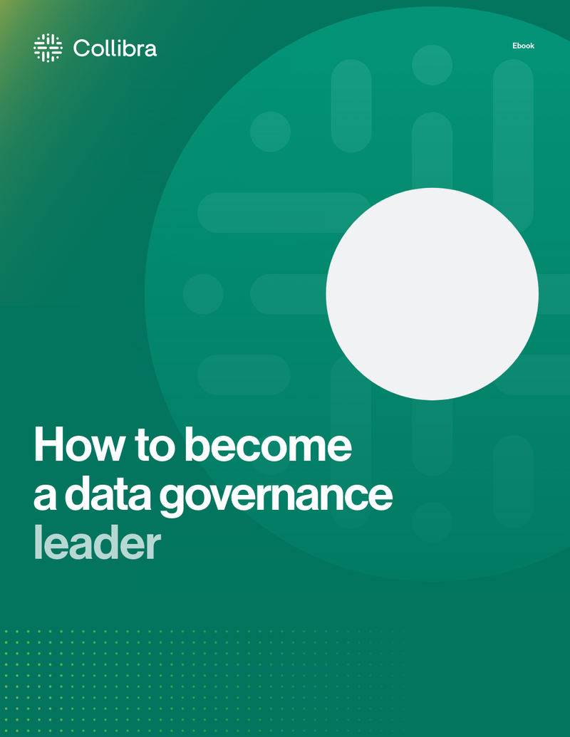 How to become a data governance leader cover image