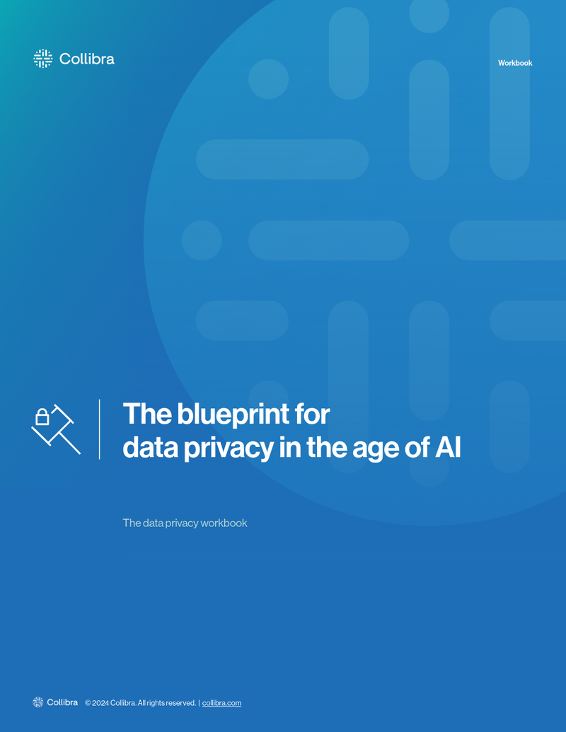 The blueprint for data privacy in the age of AI cover image