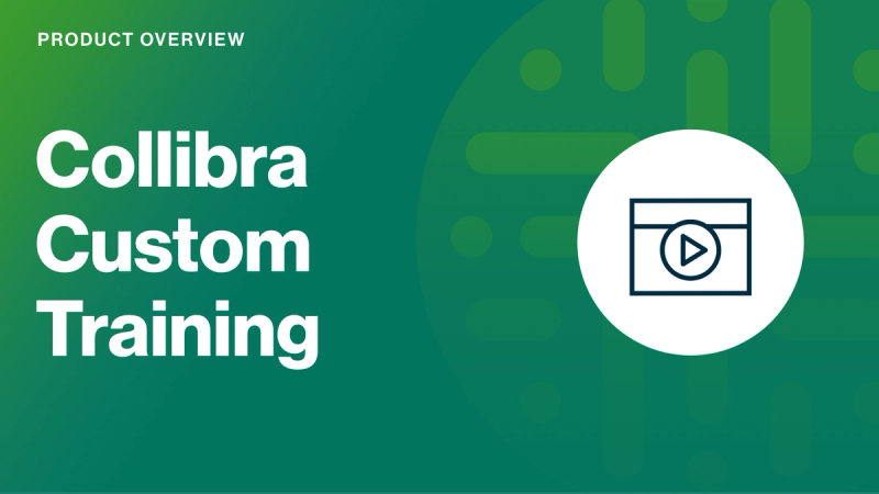 Collibra Custom Training cover image